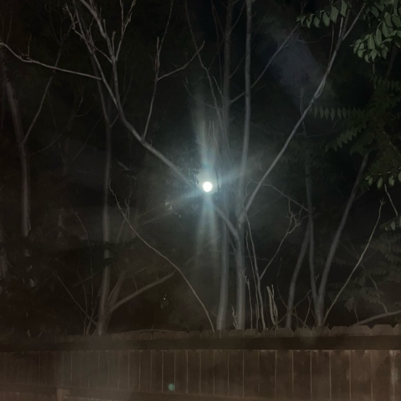 Meet your Posher, Paul - Picture 4 of 14